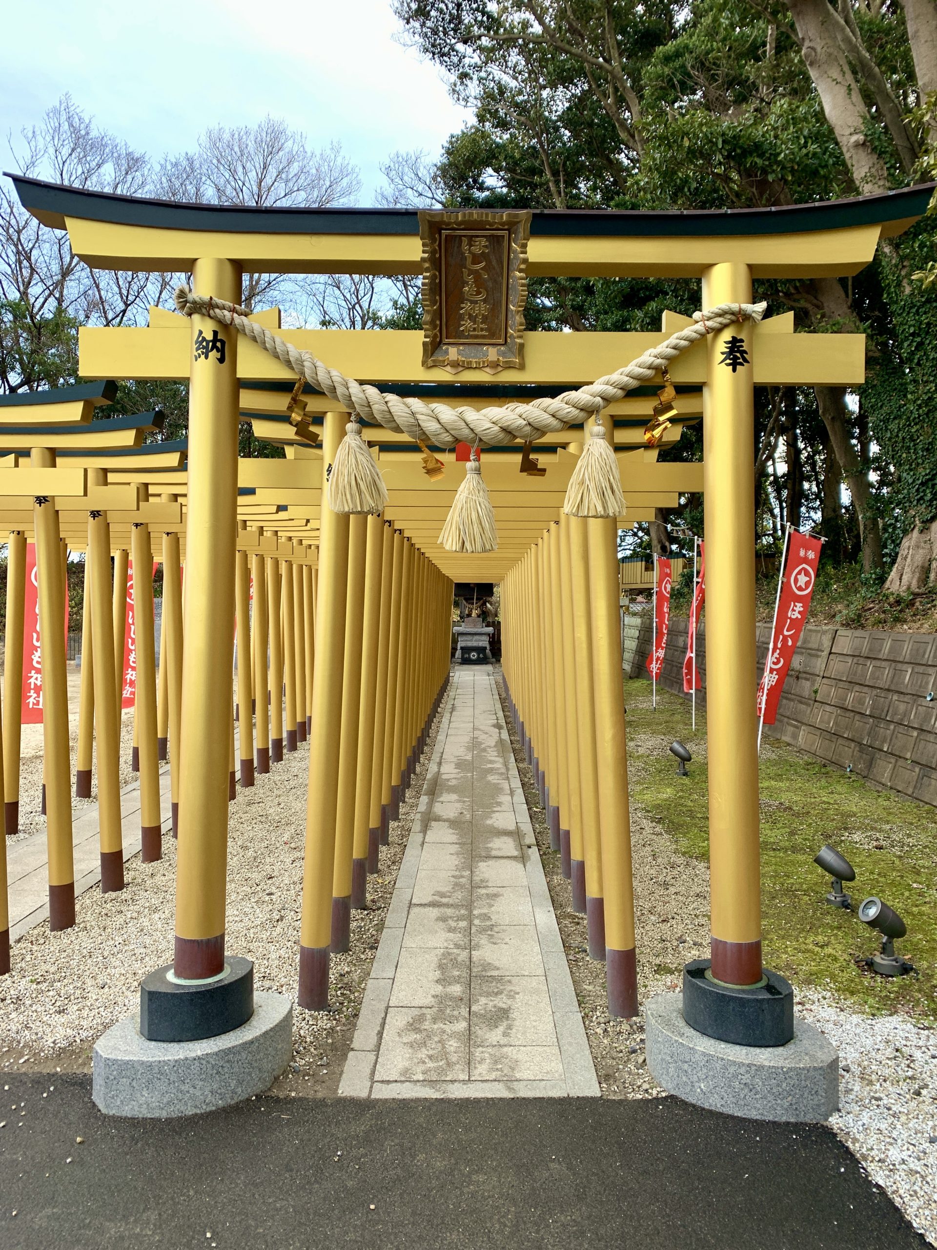 干し芋神社の鳥居と参道